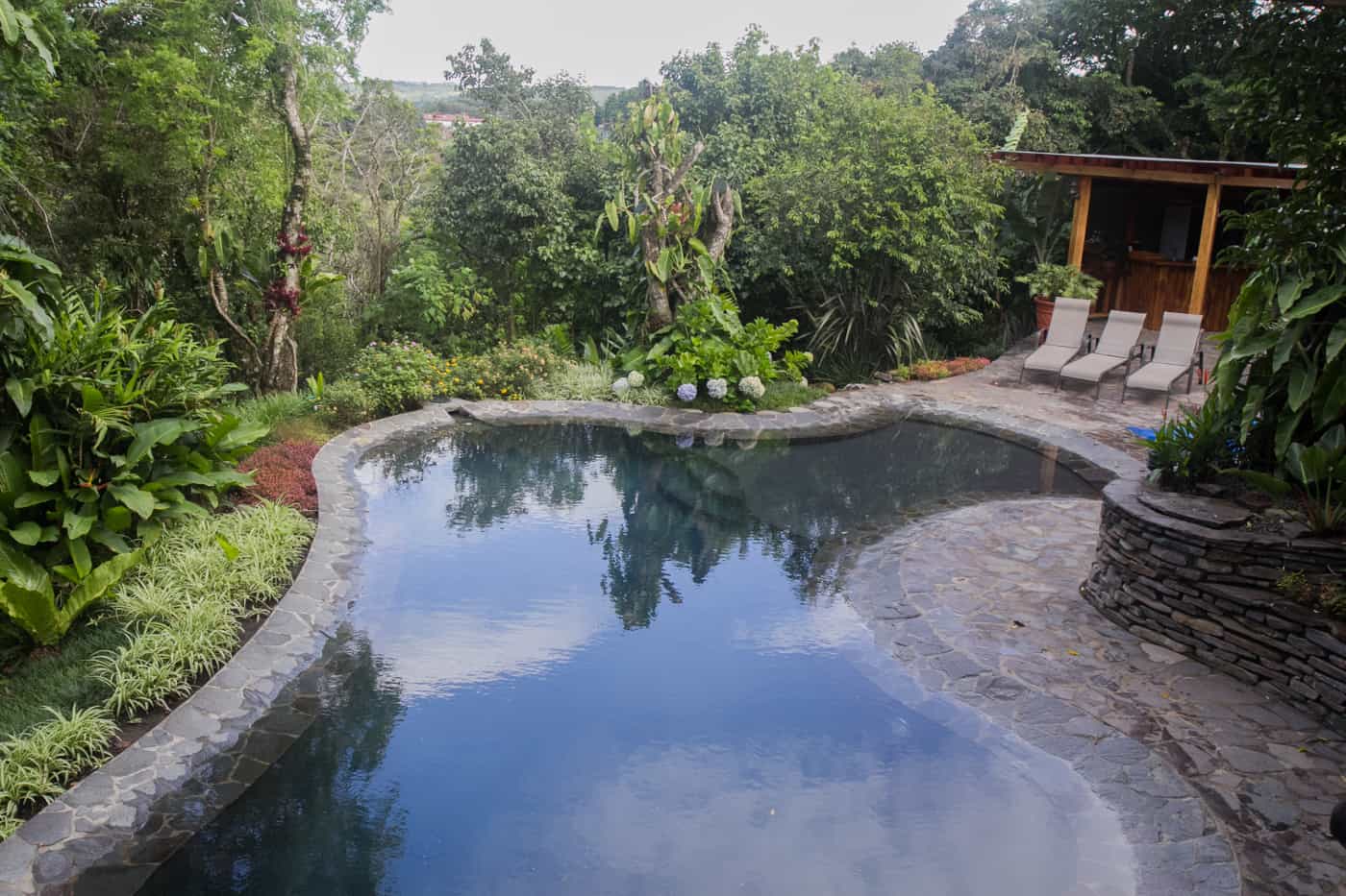 Monteverde Lodge and Gardens Pool