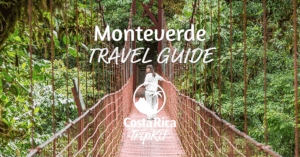 Monteverde Travel Guide