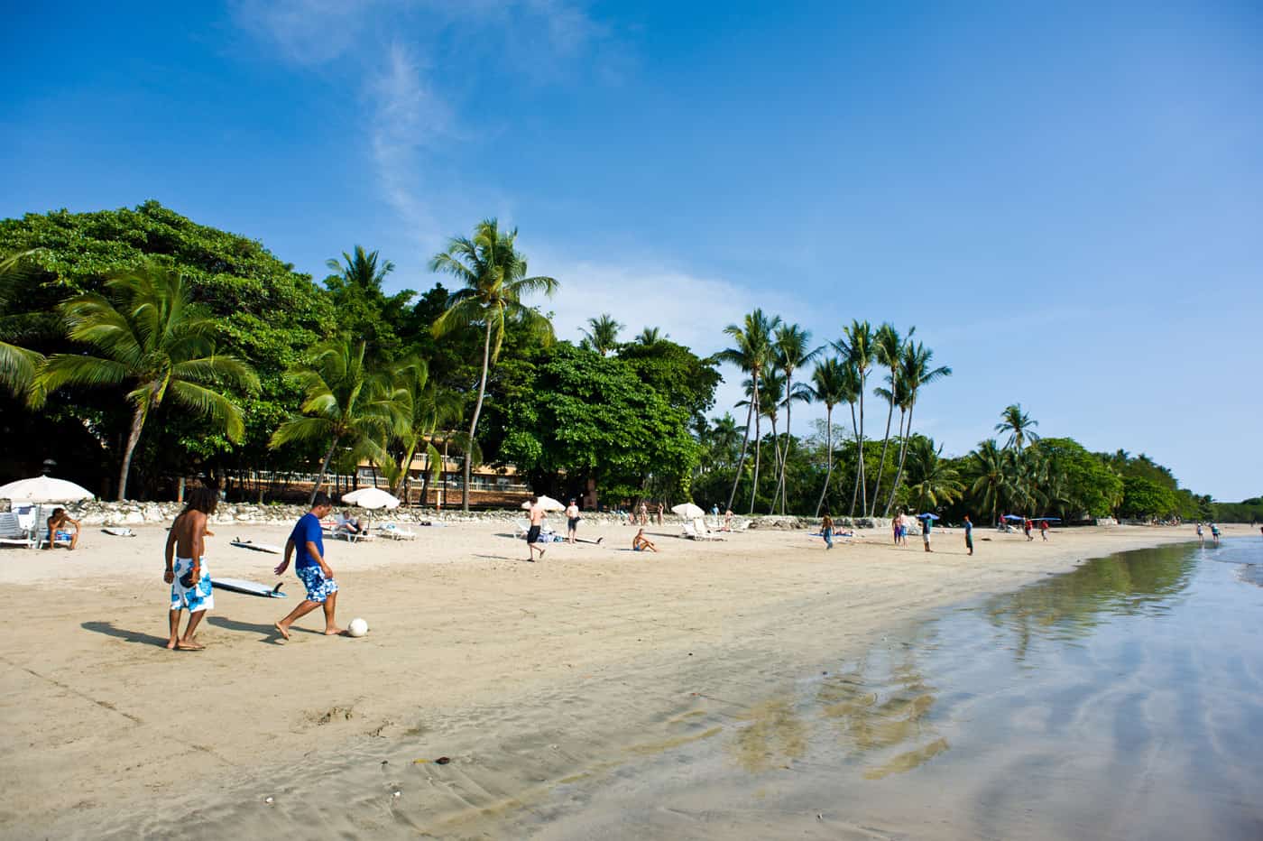 A group of people walking on a beach in Costa Rica with palm trees.