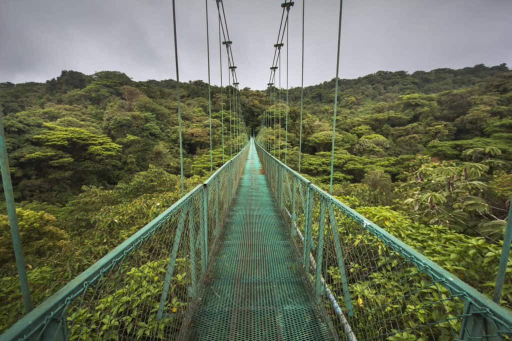 Hanging Bridge in Costa Rica